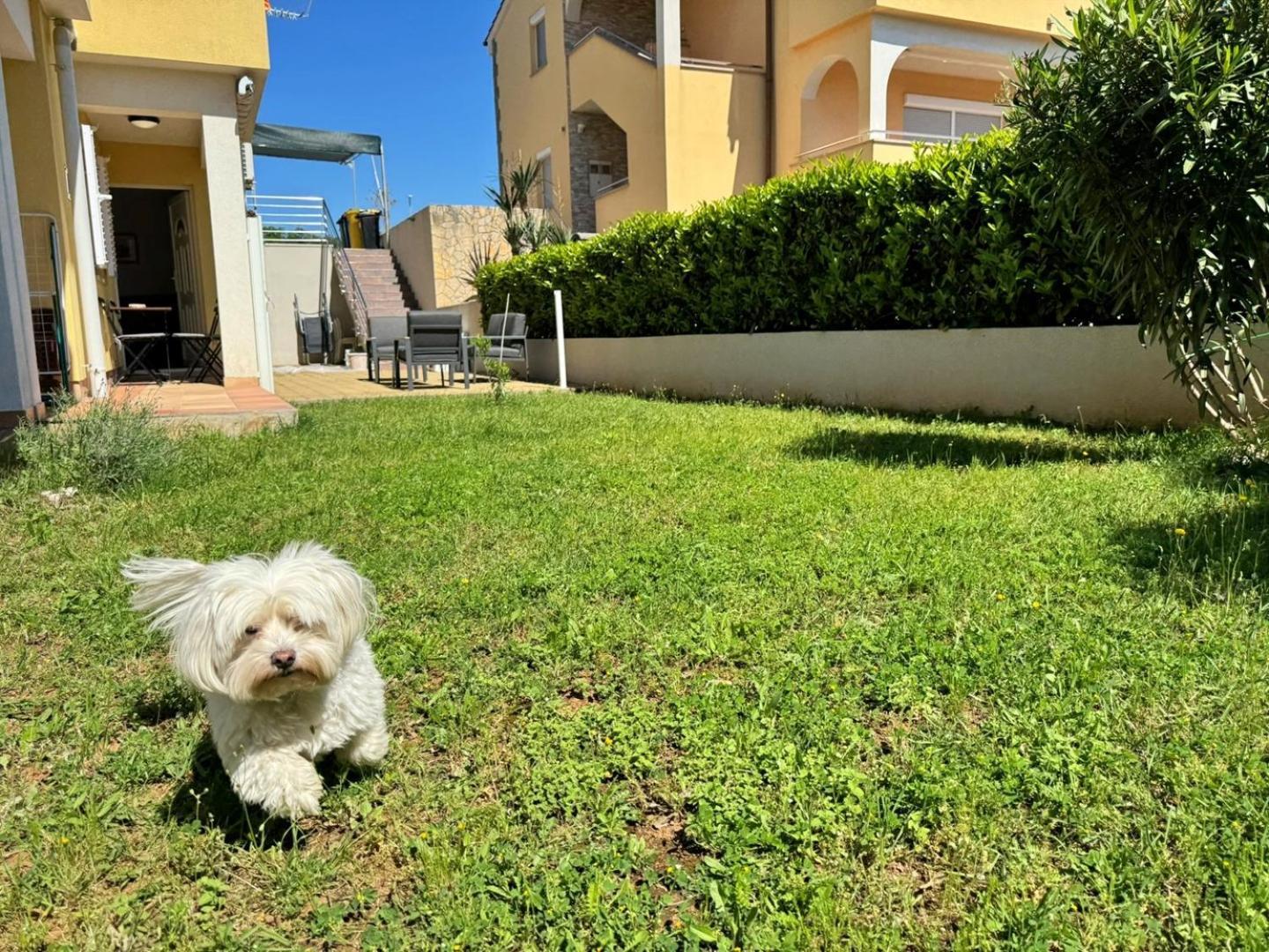 In Turizam Apartments Čižići Bagian luar foto